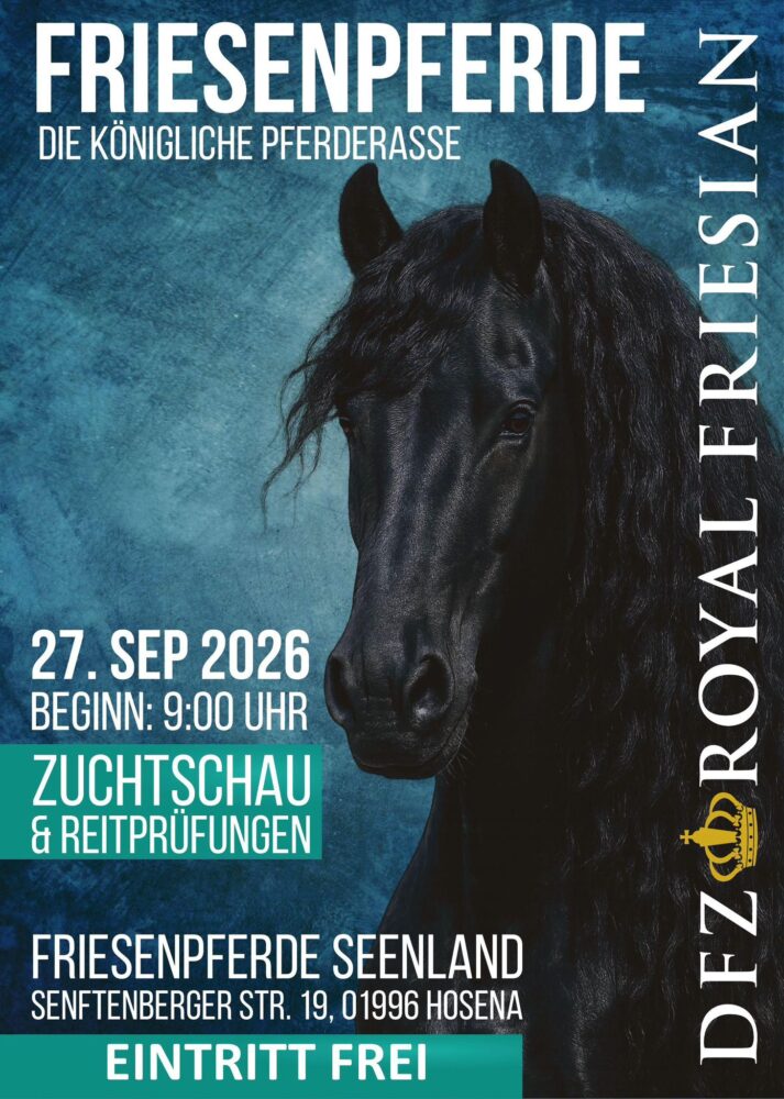 Friesenpferde – Zuchtschau & Reitprüfungen
